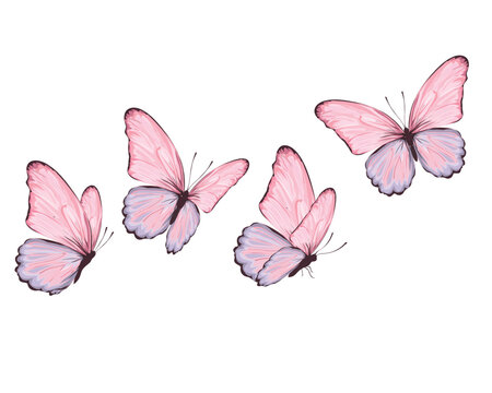 butterfly positive quote hand drawn spring flock of butterfly