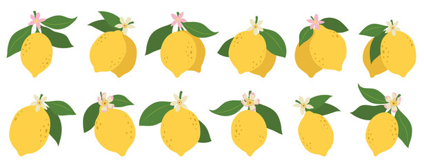 Lemons illustration, citrus fruits, green leaves, white flowers. Clipart set, yellow green colors. Baby shower design elements. Party invitation, birthday celebration. Spring or summer decoration set
