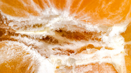 Close-up view reveals the vibrant, textured interior of a juicy orange fruit.