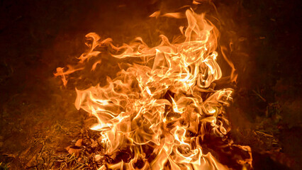 A vibrant bonfire with dancing flames in the dark.