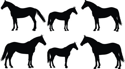 Horse silhouettes collection, standing horse poses in profile view