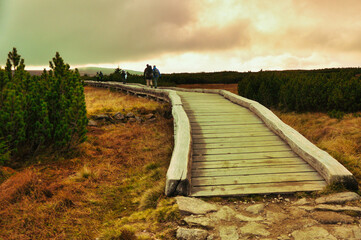 Drewniany pomost pośród trawy i bagna aż po horyzont - Krajobraz Karkonoskiej Tundry. © Pol Badger