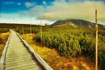 Drewniany pomost pośród trawy i bagna aż po horyzont - Krajobraz Karkonoskiej Tundry.W oddali góra Śnieżka w chmurach. © Pol Badger