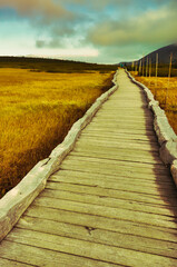 Drewniany pomost pośród trawy i bagna aż po horyzont - Krajobraz Karkonoskiej Tundry. © Pol Badger