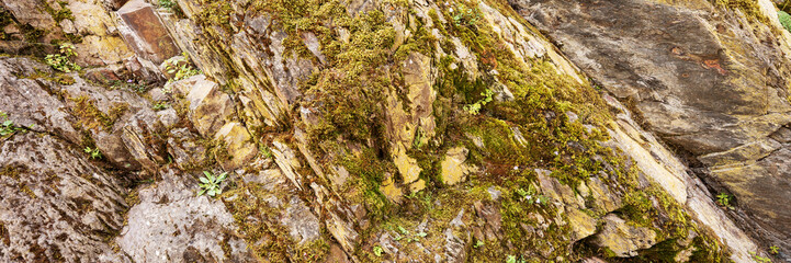 Panoramic image. Moss on slate stones in the mountains
