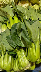 Obraz premium Fresh green bok choy stalks and leaves, tightly packed together, showcasing vibrant color and texture.