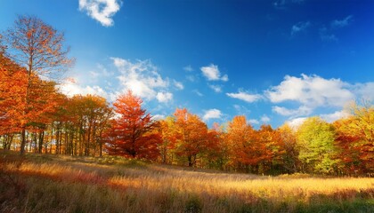 Fototapeta premium autumn forest scene featuring a vibrant blue sky provides an ideal background with ample copy space the autumn forest and its striking colors enhance the beauty of this serene blue sky backdrop