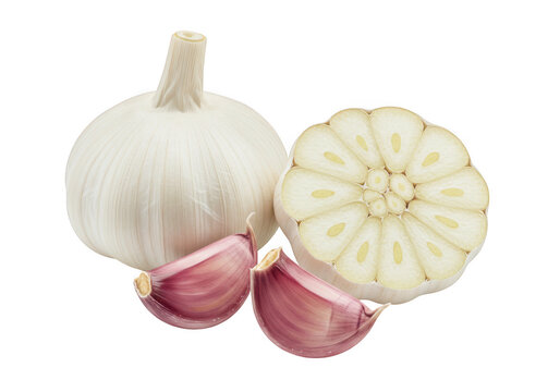 Fresh garlic bulb and cloves isolated on transparent background