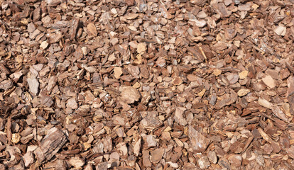Detailed view of brown mulch, ideal for adding texture to gardens and landscapes.