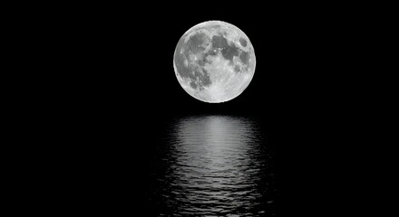 Obraz premium Bright Full Moon Over Calm Water Night Scene in Monochrome