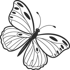 Colorful swallowtail butterfly with open wings isolated on a white background