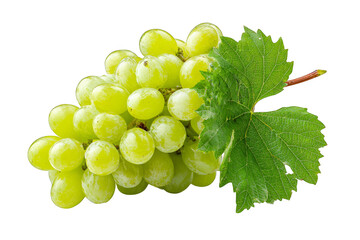 Obraz premium Fresh green grapes with a vibrant leaf, perfect for healthy eating concepts