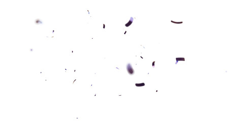Obraz premium 3d Rendering Transparent Confeti PNG. Create birthday and party decoration concept. confetti falling down, Multi Colorful Confetti Overlay Isolated On A Transparent Background. 