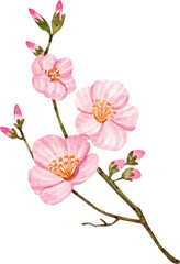 Watercolor Illustration of Mooncake Dessert