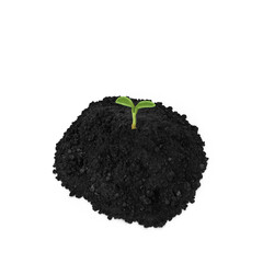 Young Seedling Sprouting from Soil Isolated on Transparent Background