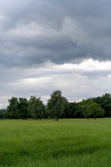 dark clouds over a large meadow towards some trees