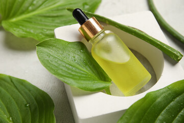 Composition with bottle of cosmetic product, plaster stand and green leaves on white grunge background, closeup