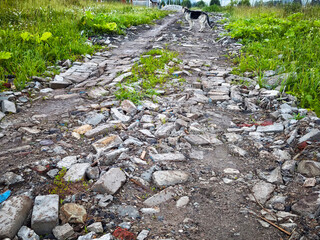Rocky pathway overgrown with weeds and a dog walking in a rural area on a cloudy day