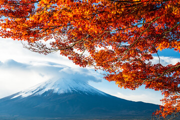 Rhythm of Autumn: Red Maple leaves Sparkling in Sunlight by lakeshore before Mount Fuji
