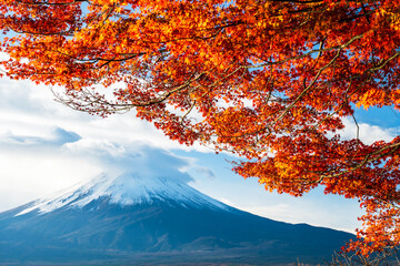 Rhythm of Autumn: Red Maple leaves Sparkling in Sunlight by lakeshore before Mount Fuji