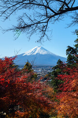 Rhythm of Autumn: Distant View of Mount Fuji through Red Leaves