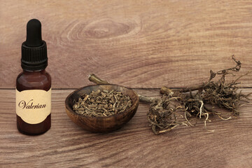 Valerian herb root natural alternative herbal medicine with tincture bottle  Used to treat insomnia, stress, anxiety, digestive health, menstrual cramps. 