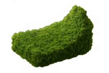 Verdant green moss growing densely across geometric rectangular surface, photorealistic 3d rendering with transparent background, botanical digital element