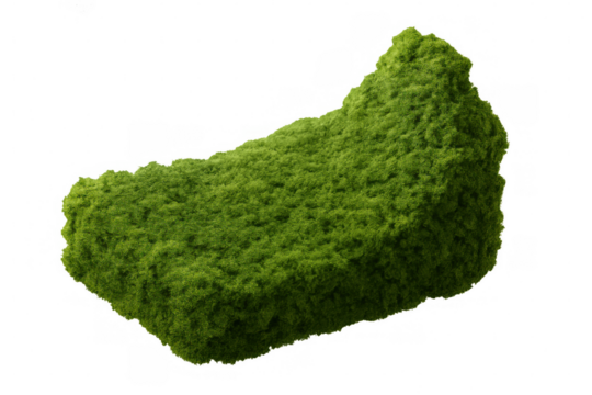 Verdant green moss growing densely across geometric rectangular surface, photorealistic 3d rendering with transparent background, botanical digital element