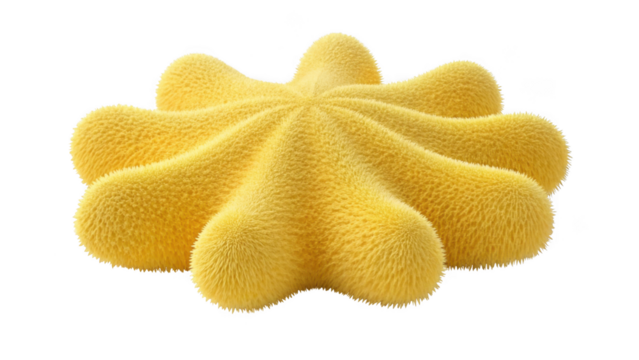 Yellow star shaped cookie isolated on transparent background