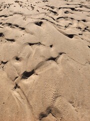 sandy shore, white sand, beach