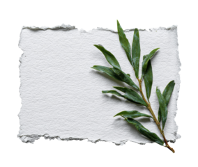 Nature inspired design with green leaves and textured paper