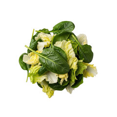 Disheveled pile of severely wilted spinach and shriveled lettuce greens with brown edges, flaccid texture, on a clean uniform transparent background, clinical portrayal of food spoilage