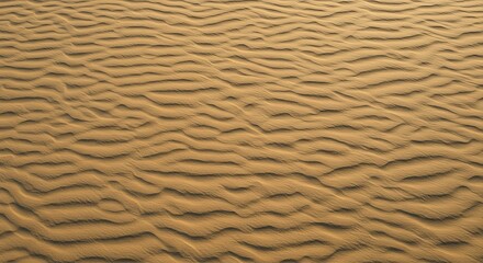 Obraz premium Desert Sand Dunes with Rippled Surface in Bright Sunlight