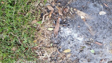 Close-up of Ashes and Charred Earth After Wildfire, Forest Fire Aftermath Caused by Careless Human Activity	