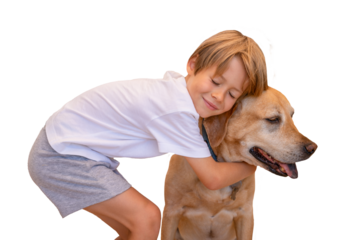 Cute little boy hugging with tenderness his labrador dog over transparent background. PNG.