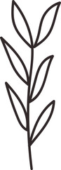 Simple Leaf Branch Drawing