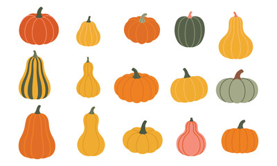Autumn pumpkin set, vector illustration of a beautiful pumpkin made in isolation, beautiful colorful pumpkins