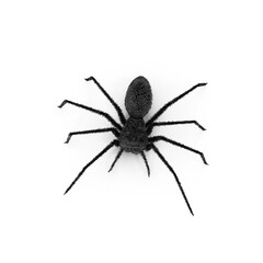 Fototapeta premium Black Spider Isolated on Transparent Background