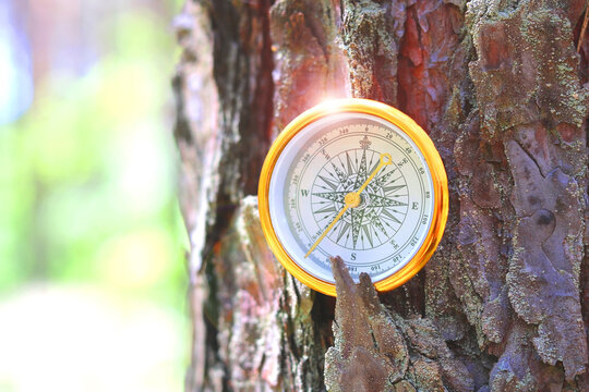 Classic navigation shiny compass on natural background