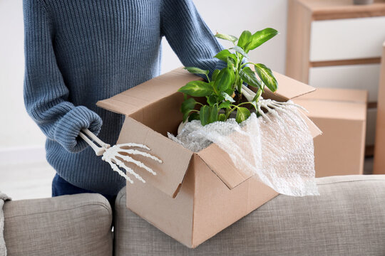 Human skeleton model with cardboard box near sofa in living room on moving day, closeup