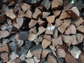 Pile of wood in the countryside
