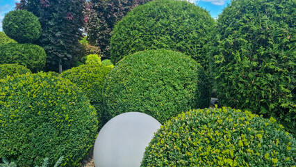 Round shaped ornamental bushes and green shrubs with spherical stone in garden landscape. Botanical trimmed greenery in park. Garden architecture and topiary concept.