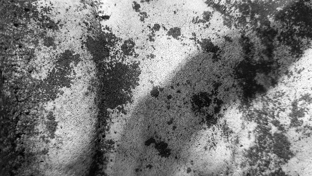 texture of the stone