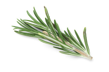 Fototapeta premium Twig of fresh rosemary isolated on white background, closeup