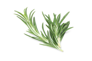 Fresh rosemary isolated on white background, closeup