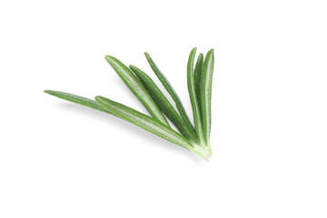 Fototapeta premium Fresh rosemary isolated on white background, closeup