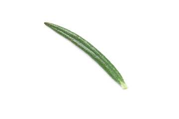 Leaf of fresh rosemary isolated on white background, closeup