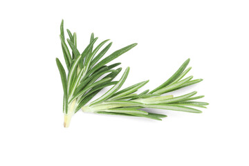 Fototapeta premium Fresh rosemary twigs isolated on white background, closeup