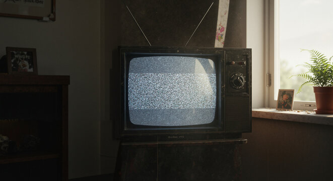 Vintage TV displaying static in cozy living room with plant