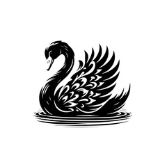 Obraz premium Black swan swimming gracefully in water, isolated on white background